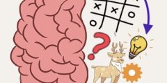 Brain puzzles-Quests